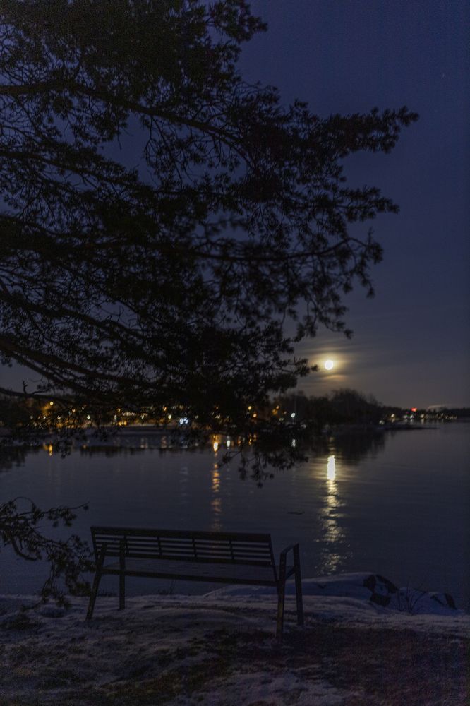 Photograph by Olga Smirnova