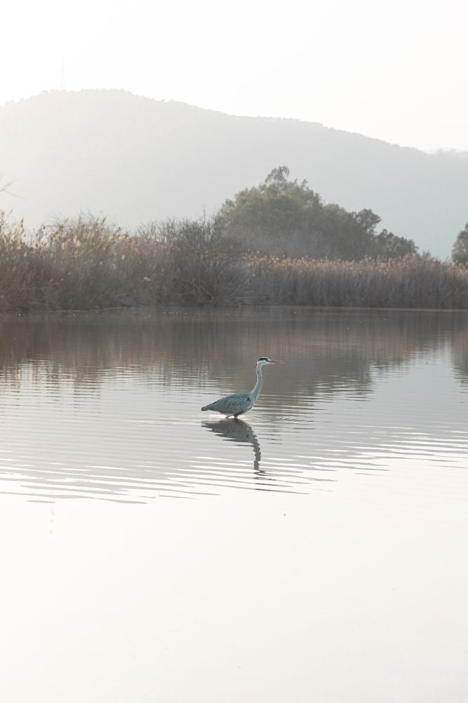 Photograph by Olga Smirnova