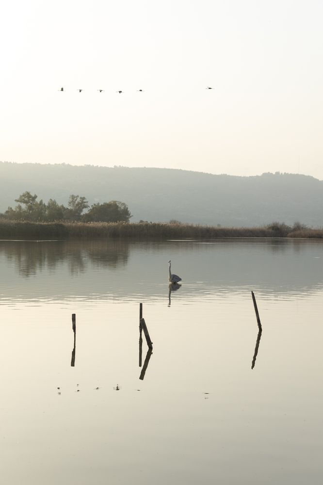 Photograph by Olga Smirnova