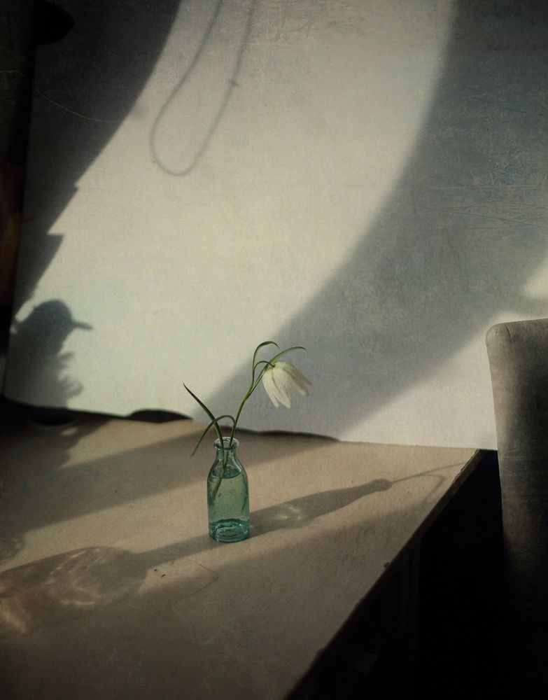 Photograph by Мария Сапего