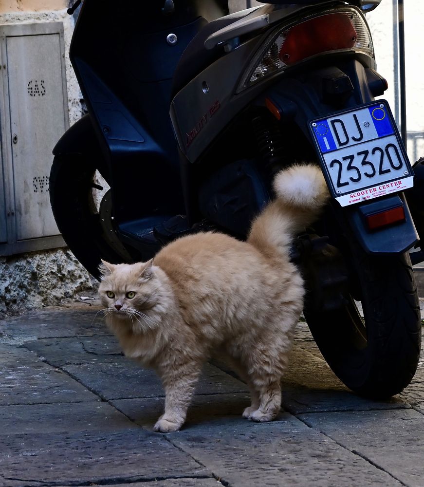 Photograph by Аудрюс Балчетис