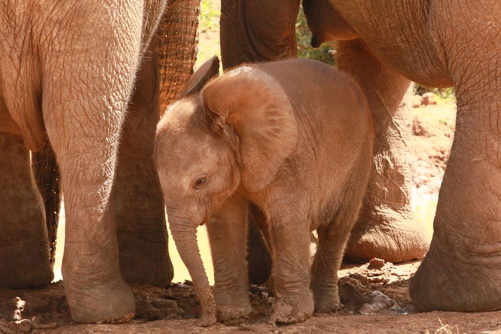 Photograph by MAKSIM MARKOV