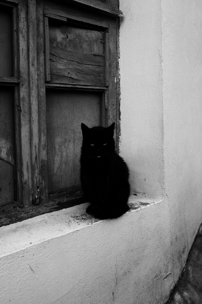 Photograph by Василий Селиванов