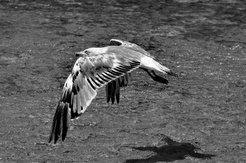 Photograph by Наталья Иванова