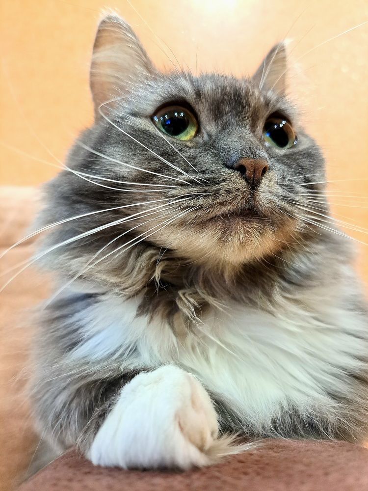 Photograph by Михаил Бронников