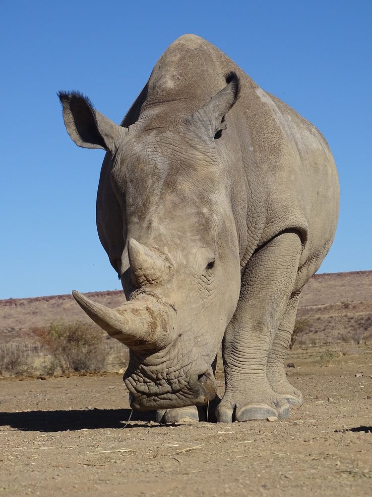 Photograph by MAKSIM MARKOV