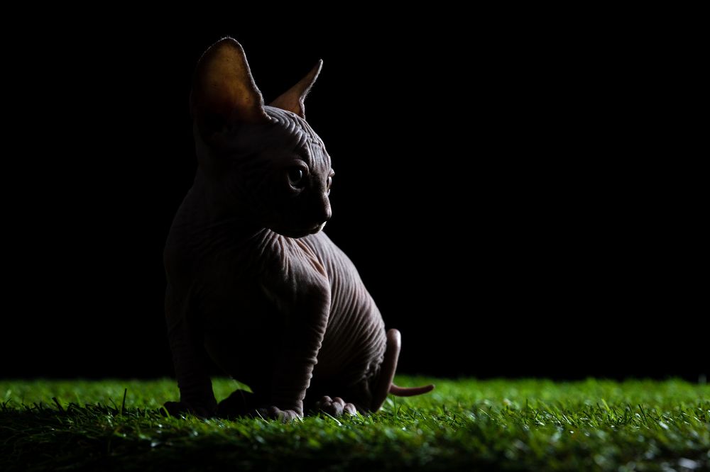 Photograph by Ильяс Бекмансуров