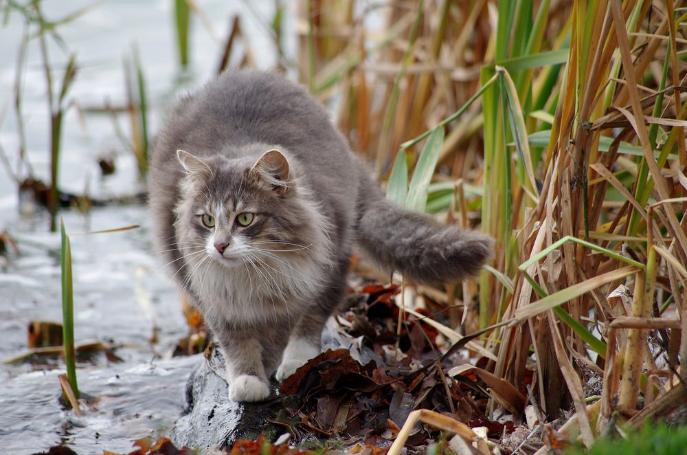 Photograph by Ionika Mink