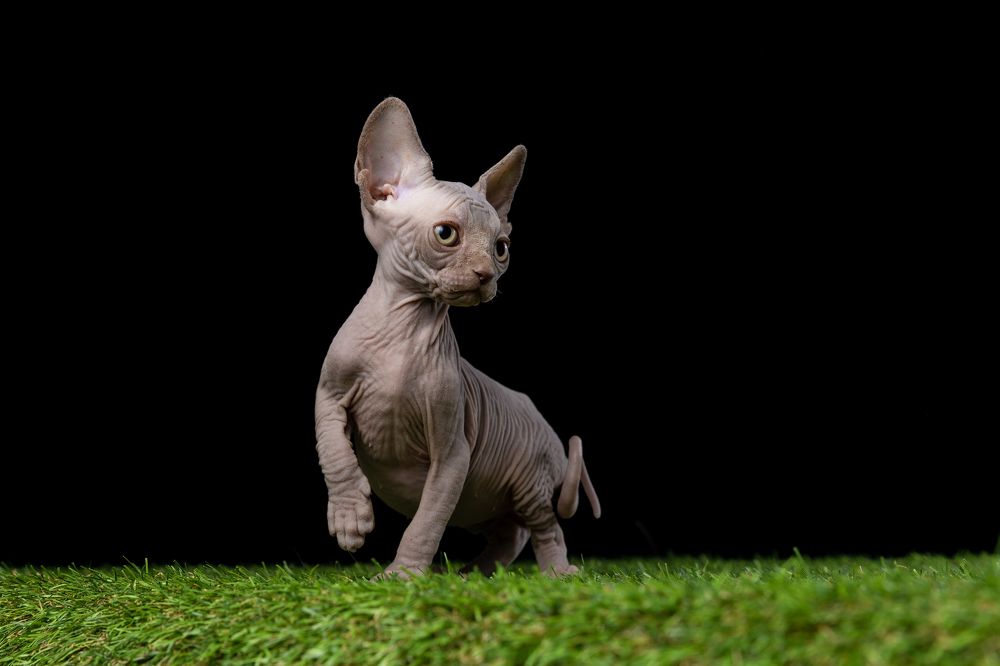 Photograph by Ильяс Бекмансуров