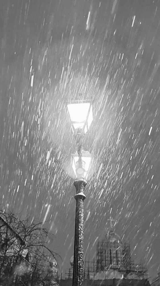 Photograph by Анна Лепихина