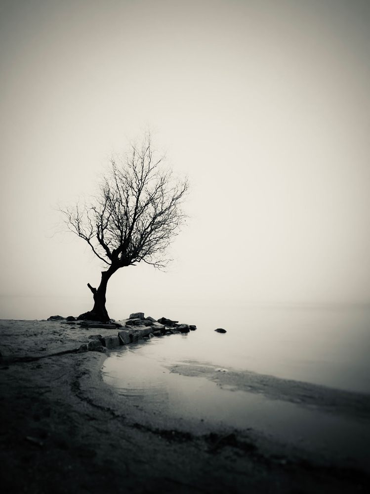 Photograph by Анна Адаменко