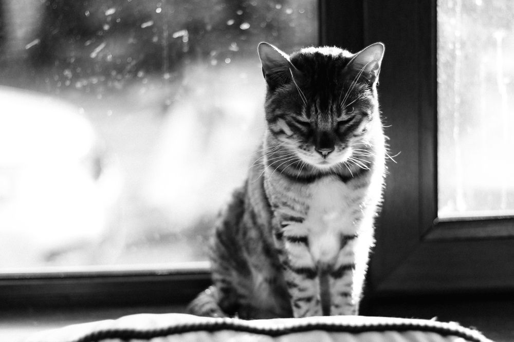 Photograph by Татьяна Стружкина
