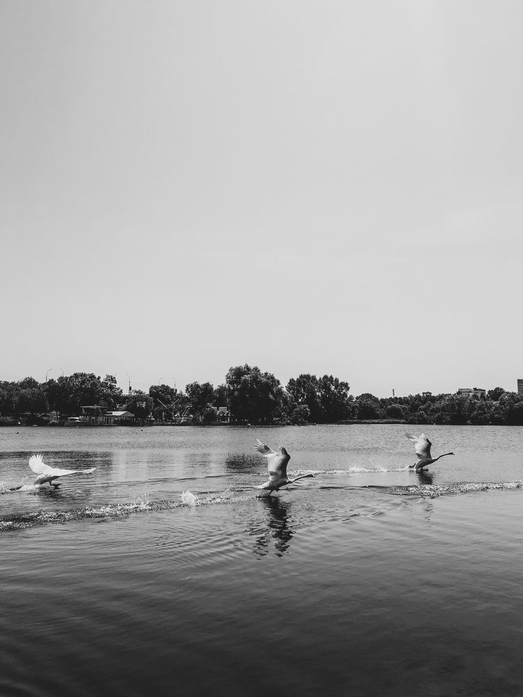 Photograph by Кристина Луканова