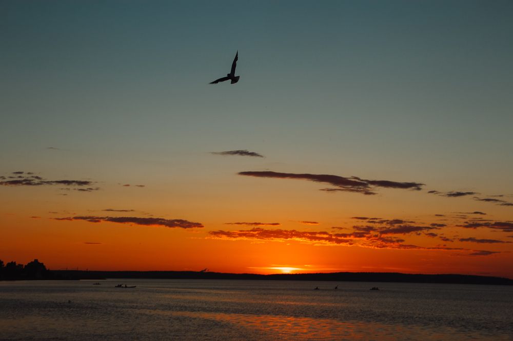 Photograph by Ольга