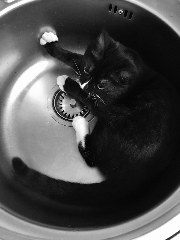 Photograph by Елена Макуха