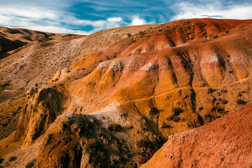 Photograph by Леденева Наталья