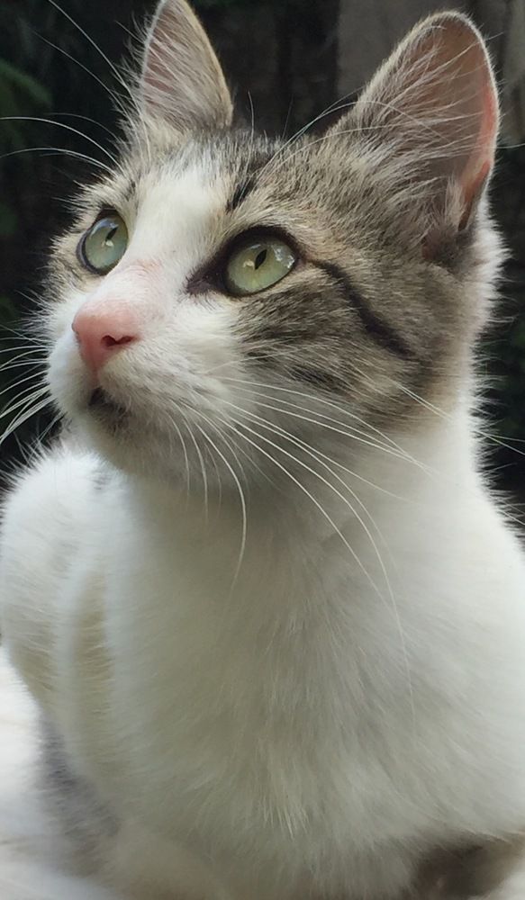 Photograph by maria gabriela alegria