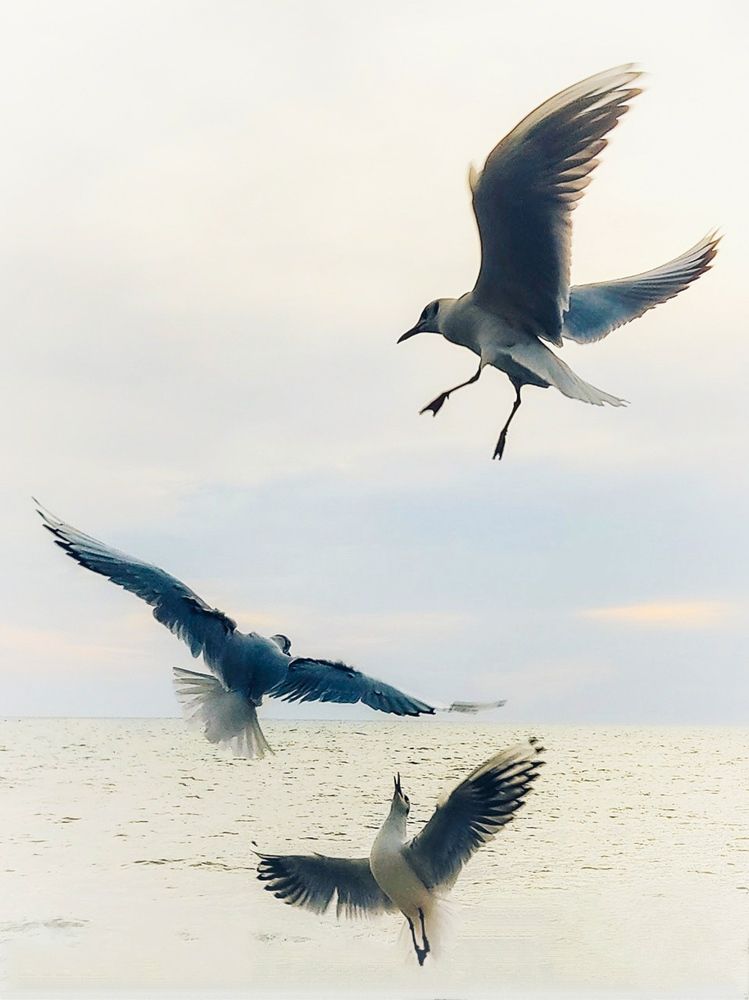 Photograph by СашаДД_