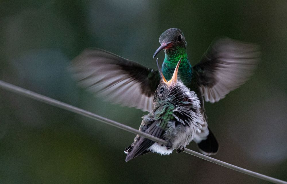 Photograph by Juan Carlos Hernández