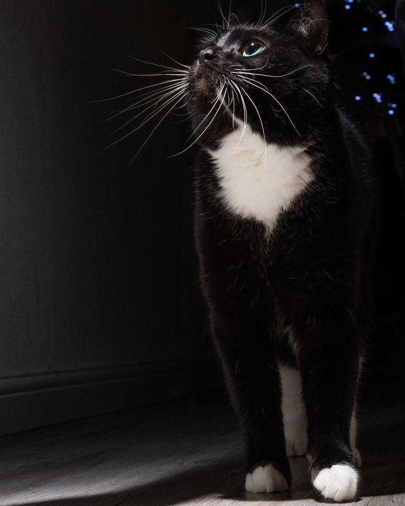 Photograph by Илья Стефанов