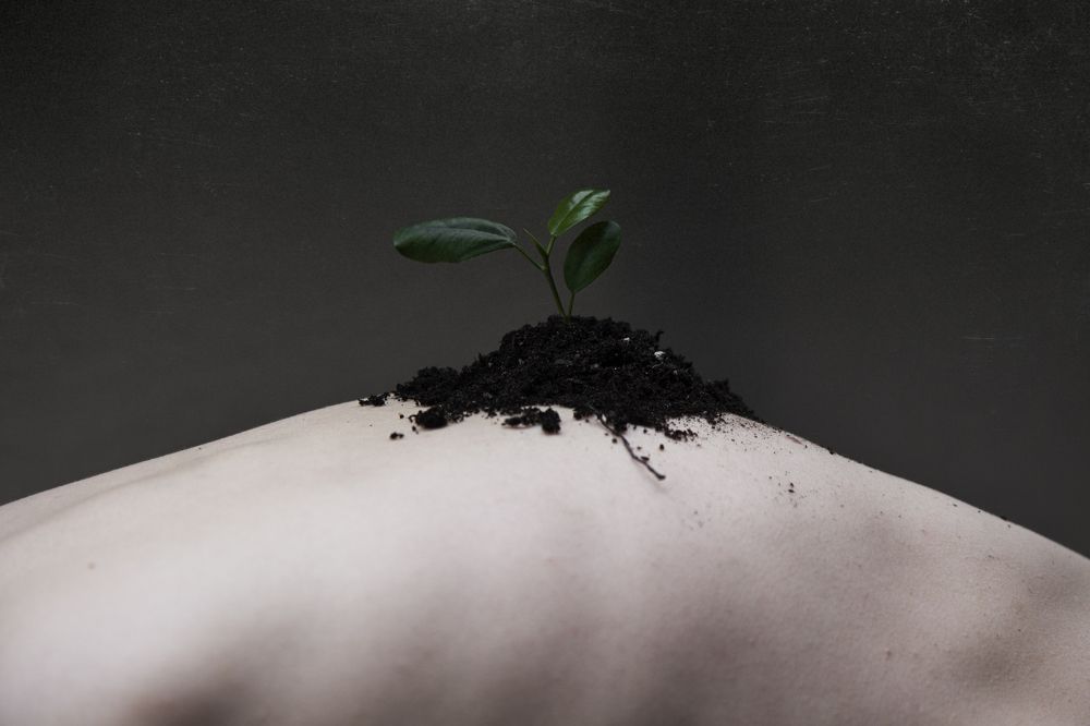 Фотография автора Оксана Мерзликина