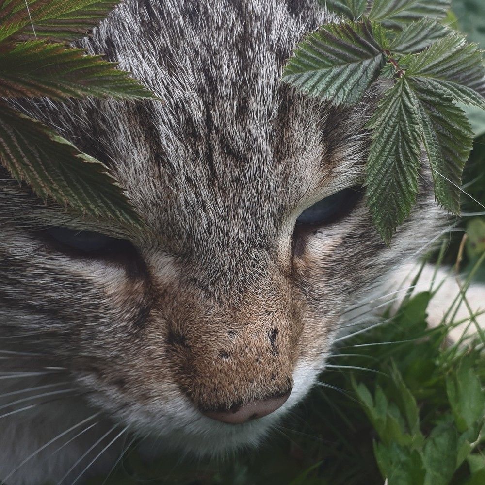 Photograph by Анастасия Литвинова