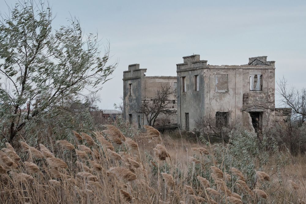 Photograph by Михаил Нестеренко