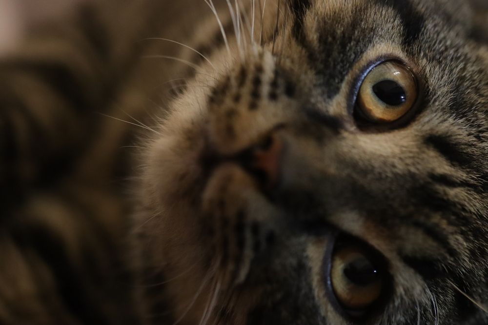 Photograph by Lina Tomkevičienė