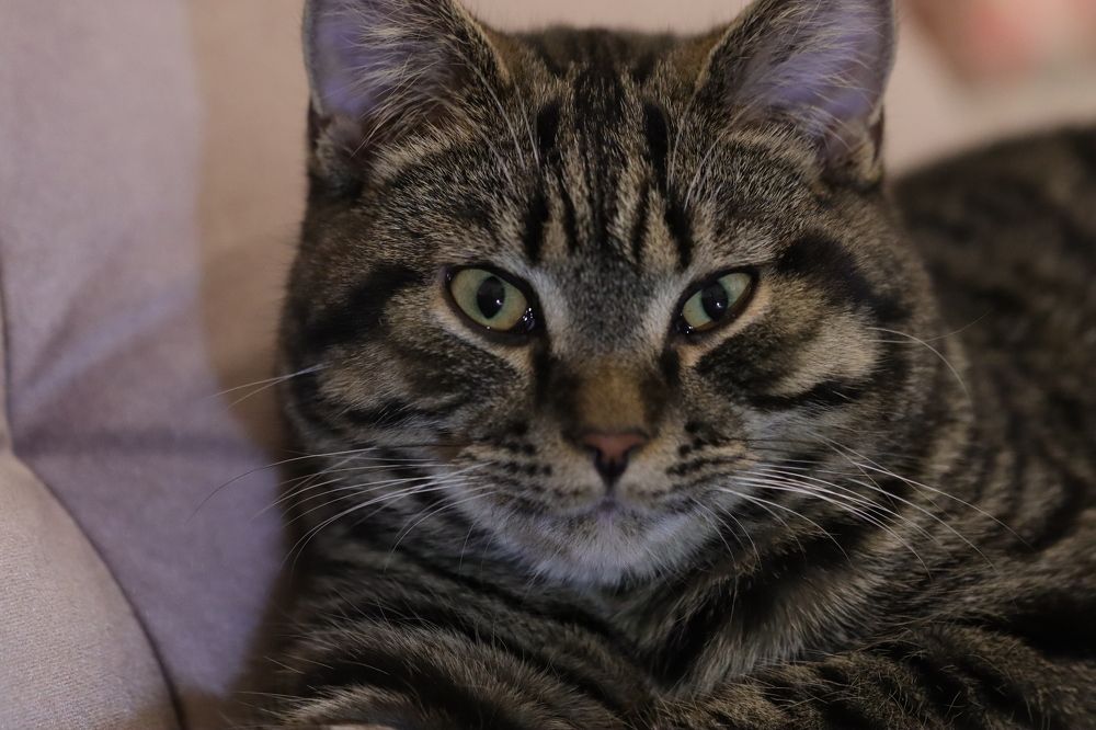 Photograph by Lina Tomkevičienė