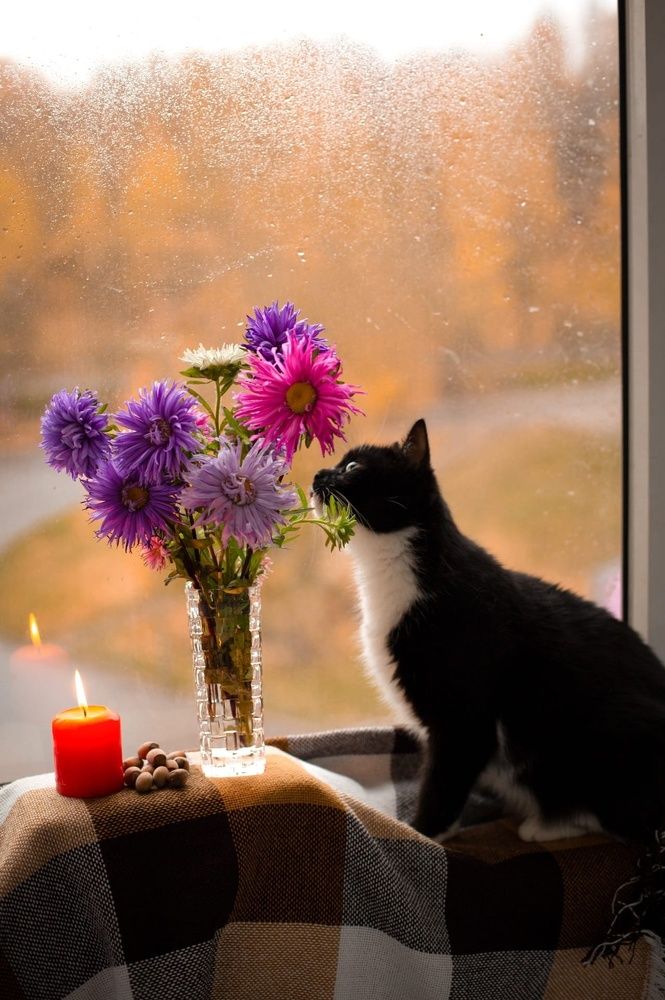 Photograph by Александра Драчук