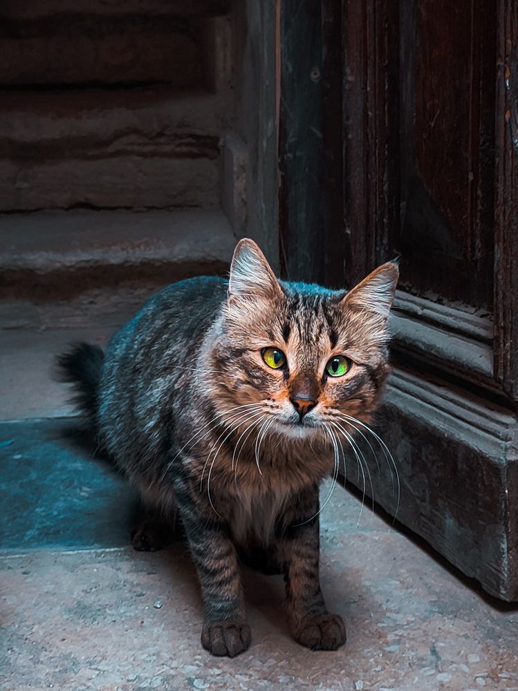 Photograph by Eslamyasser