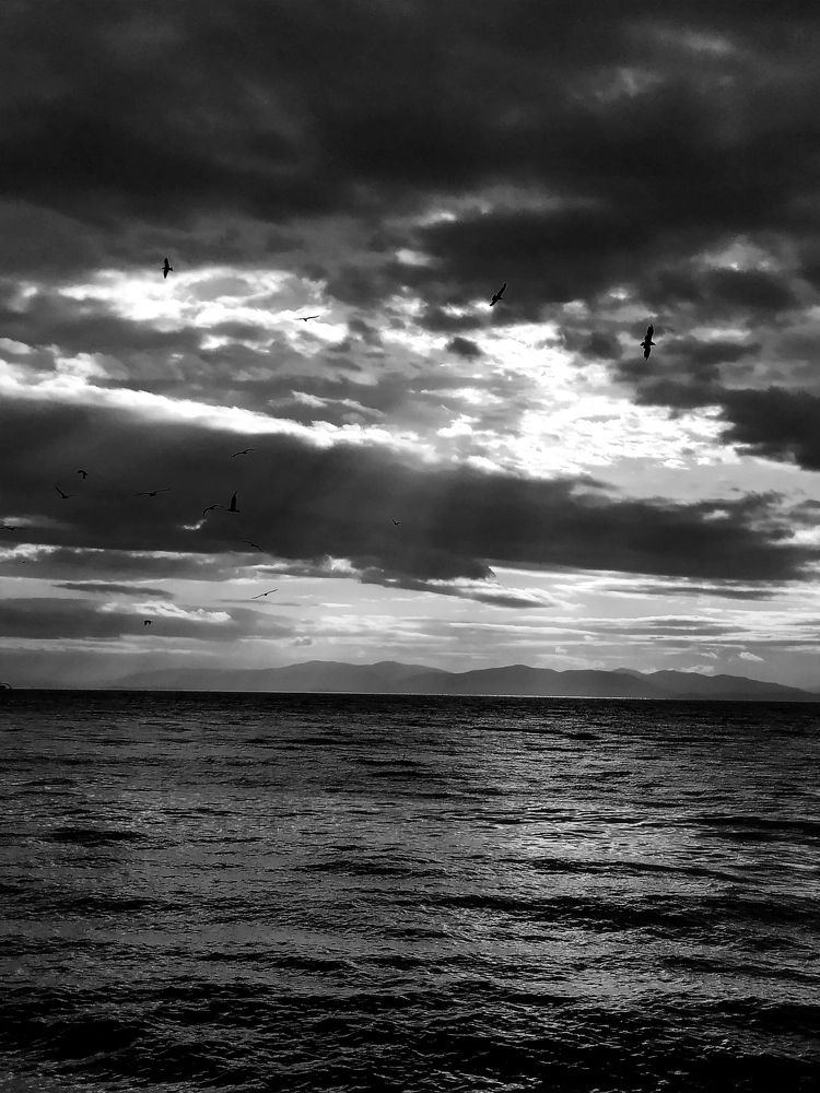 Photograph by Дарья