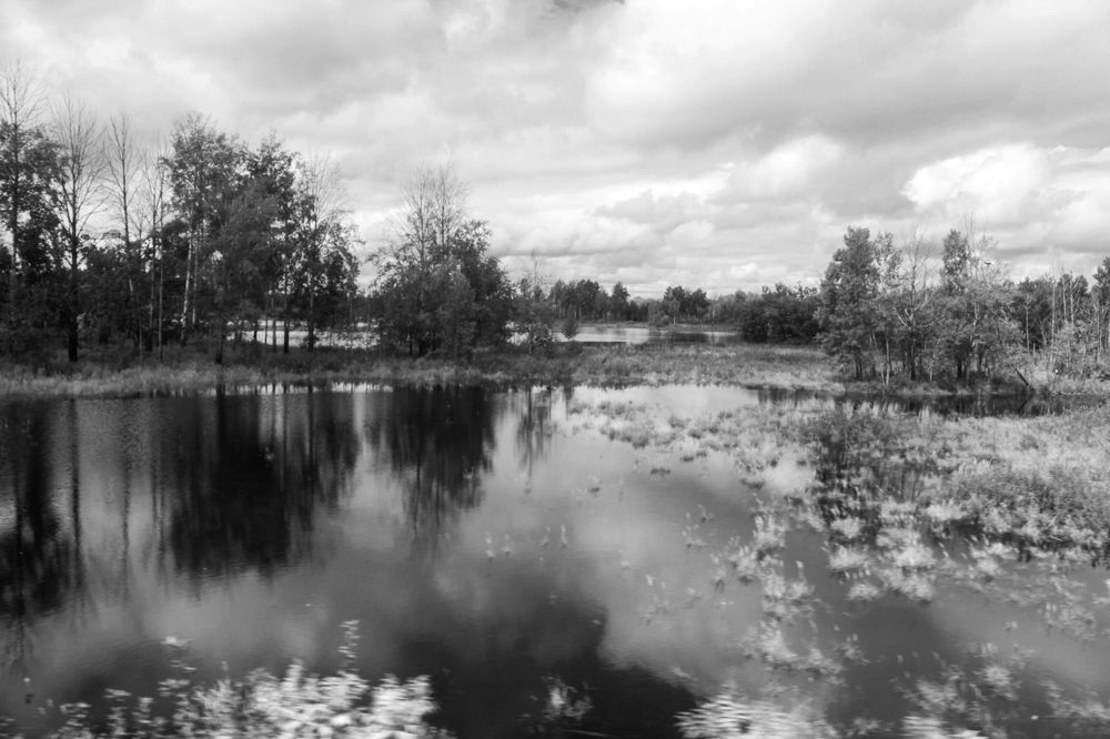 Photograph by Дарья