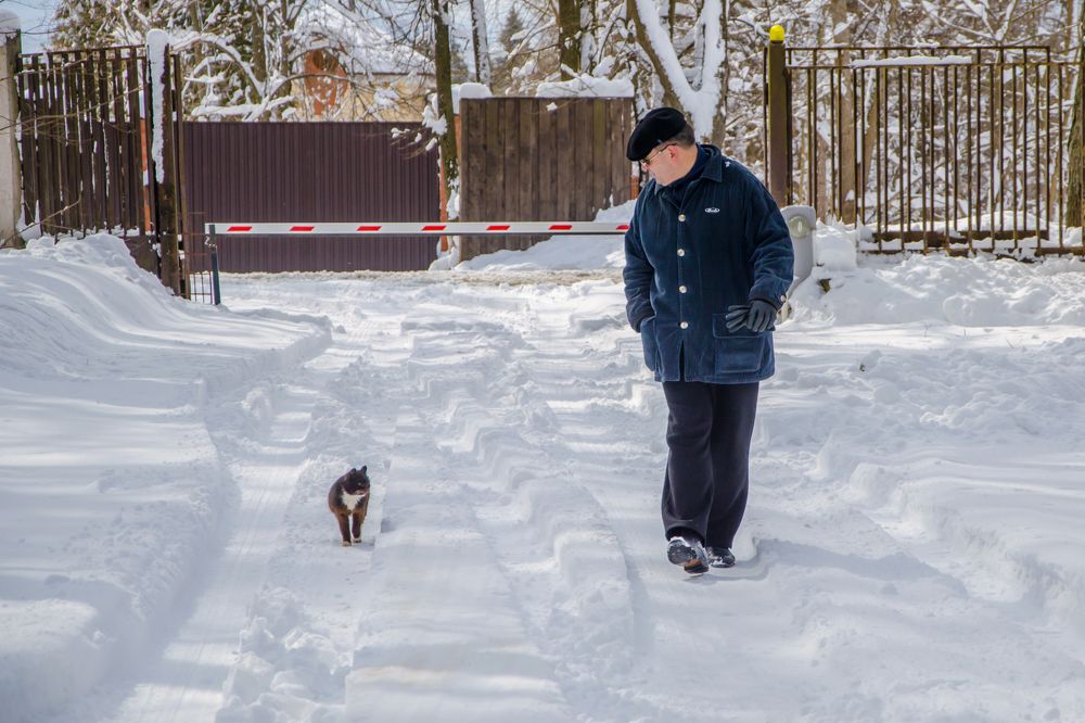 Photograph by Ольга Заповедная