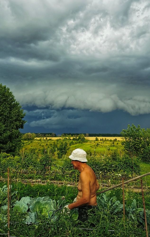 Photograph by Любовь Колмакова