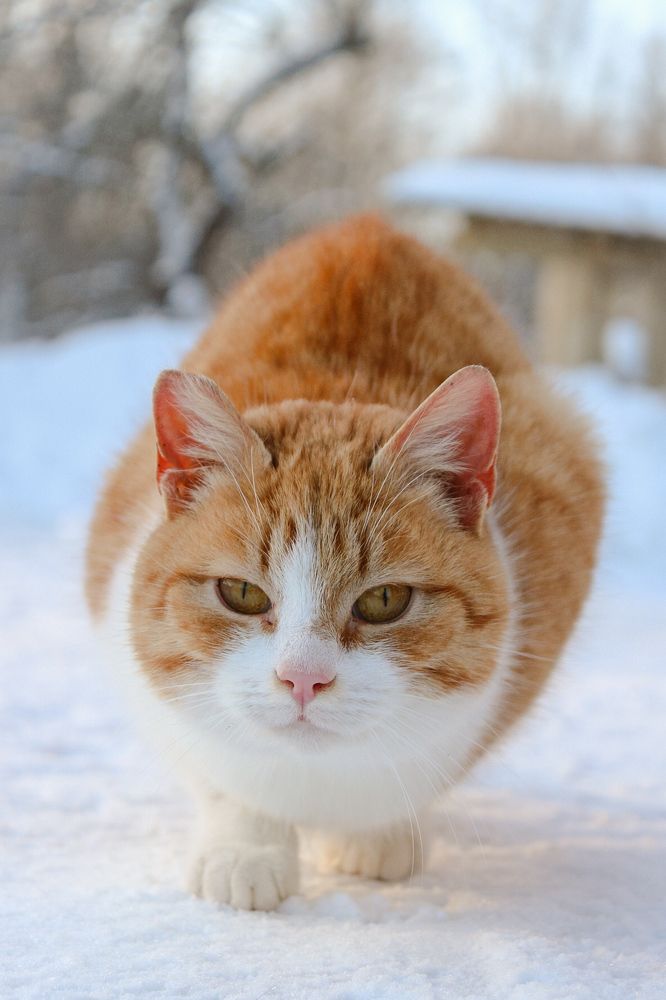 Photograph by Ангелина Высочина