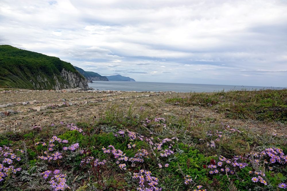 Photograph by Анастасия