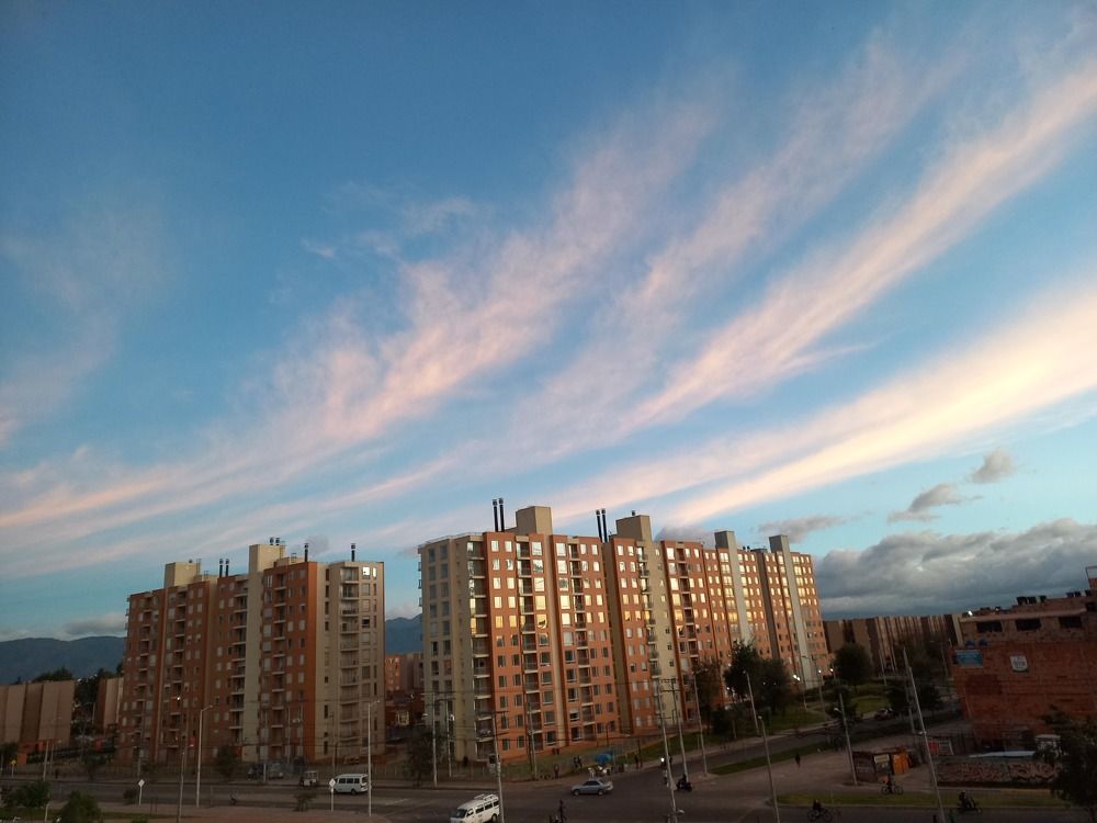 Photo #8786189