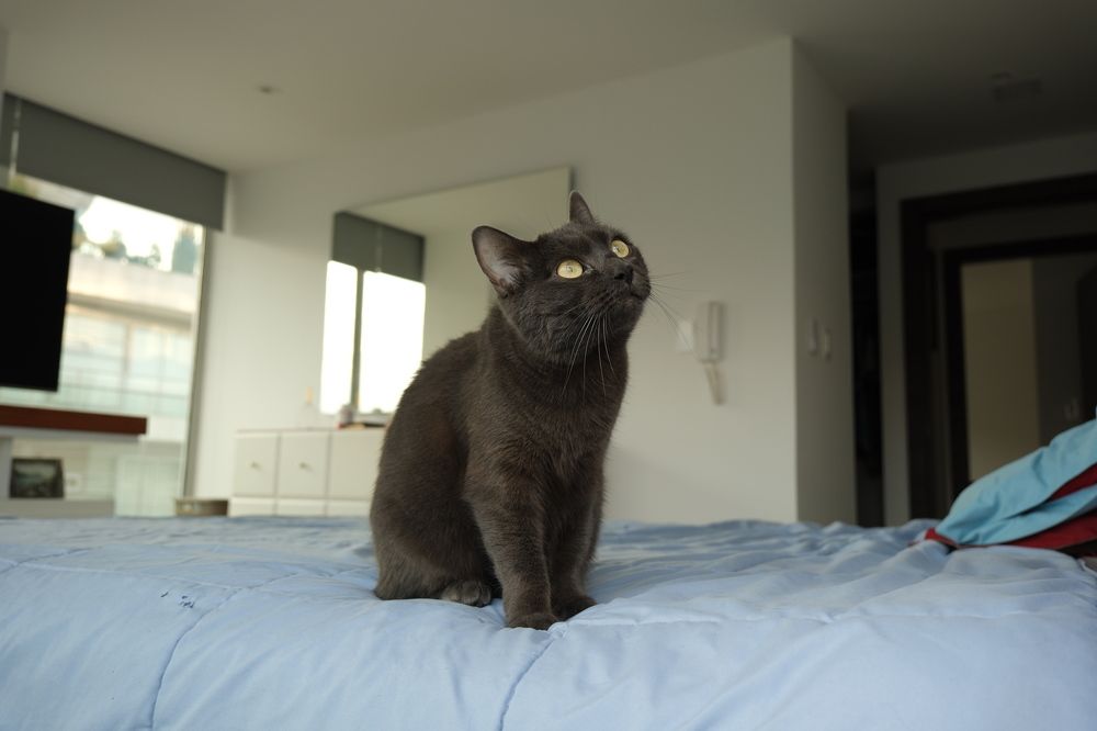 Photograph by Дарья Гаврилова