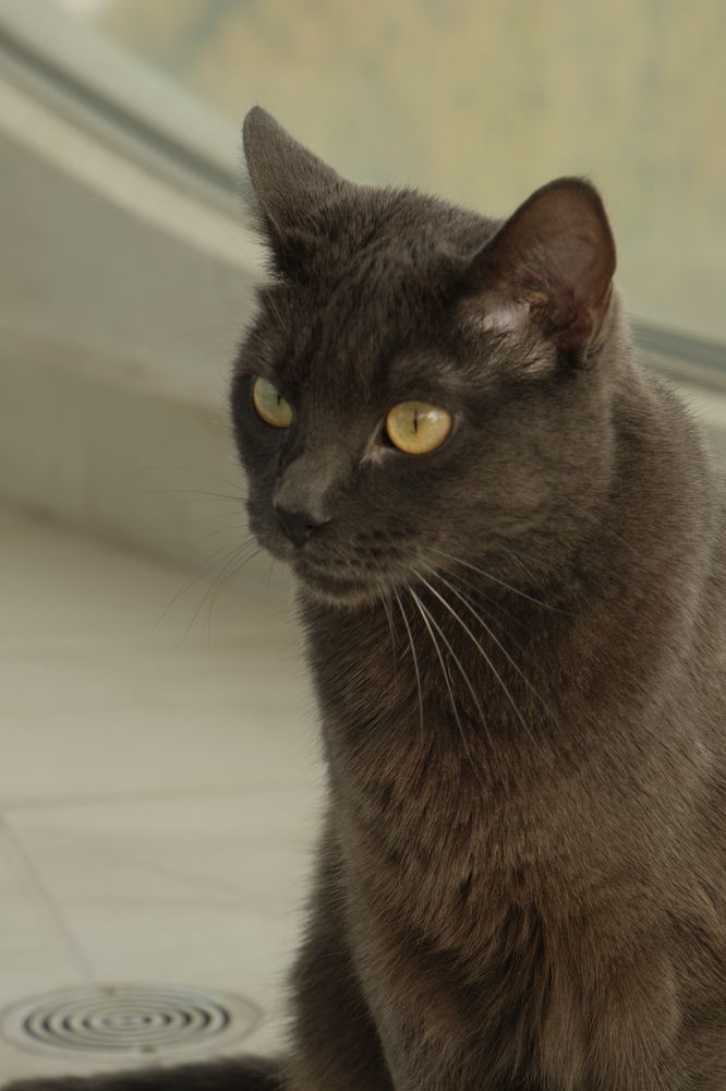 Photograph by Дарья Гаврилова