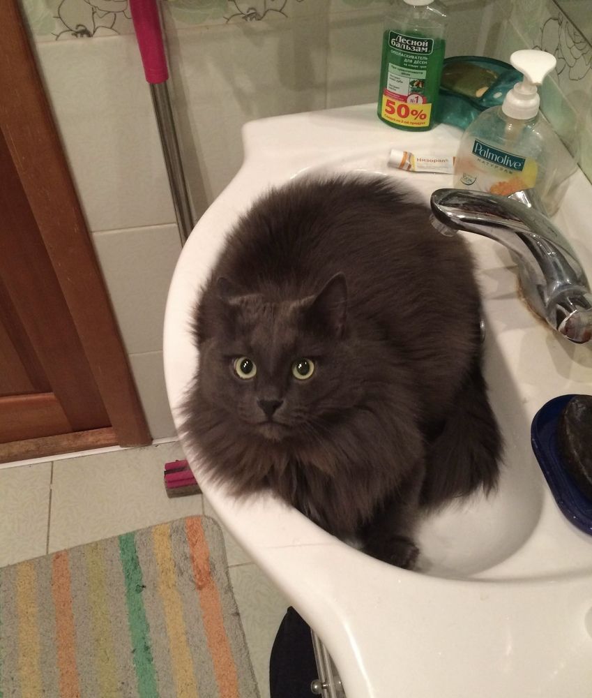 Photograph by Дарья Гаврилова