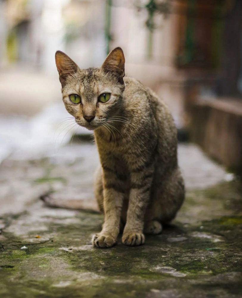 Photograph by Soumik Ghosh