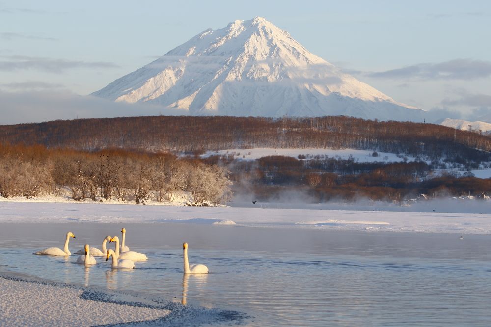 Photograph by Наталья Турчик