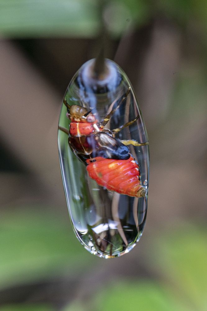 Photograph by Santiago Varela