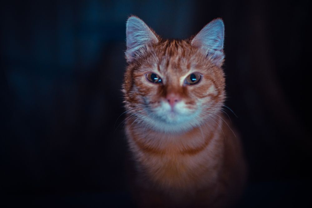 Photograph by Александр Кузнецов