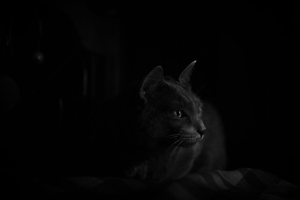 Photograph by Александр Кузнецов