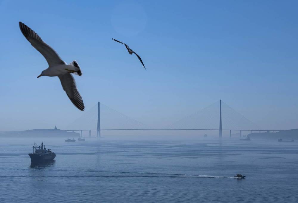 Оттенки Русского.