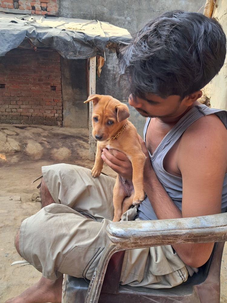 Photo #8786412