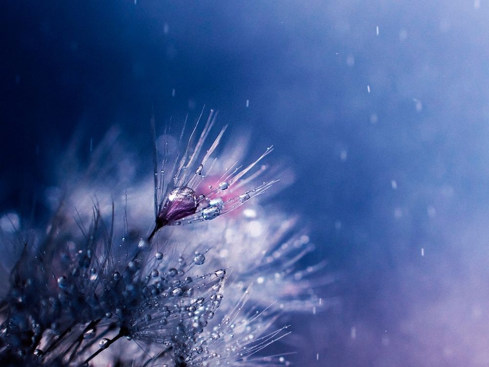 Photograph by Rogozina Olga