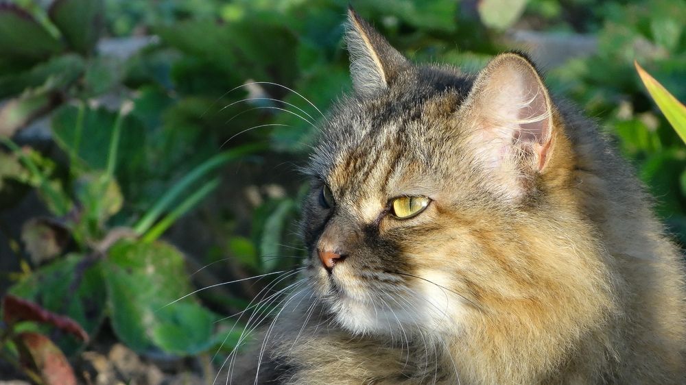 Photograph by Роман Трошин